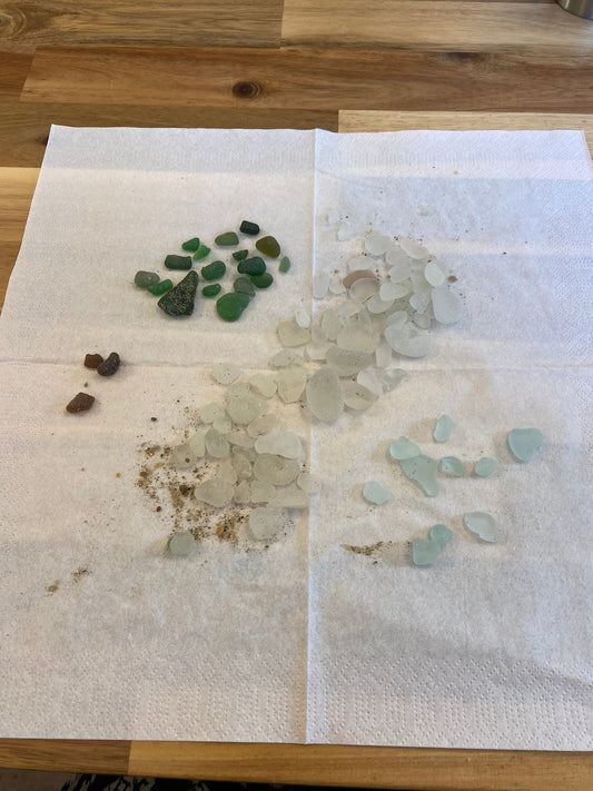 Beach finds 23/03/25